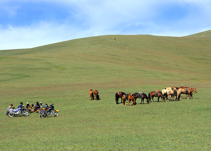 Mongolian horseman